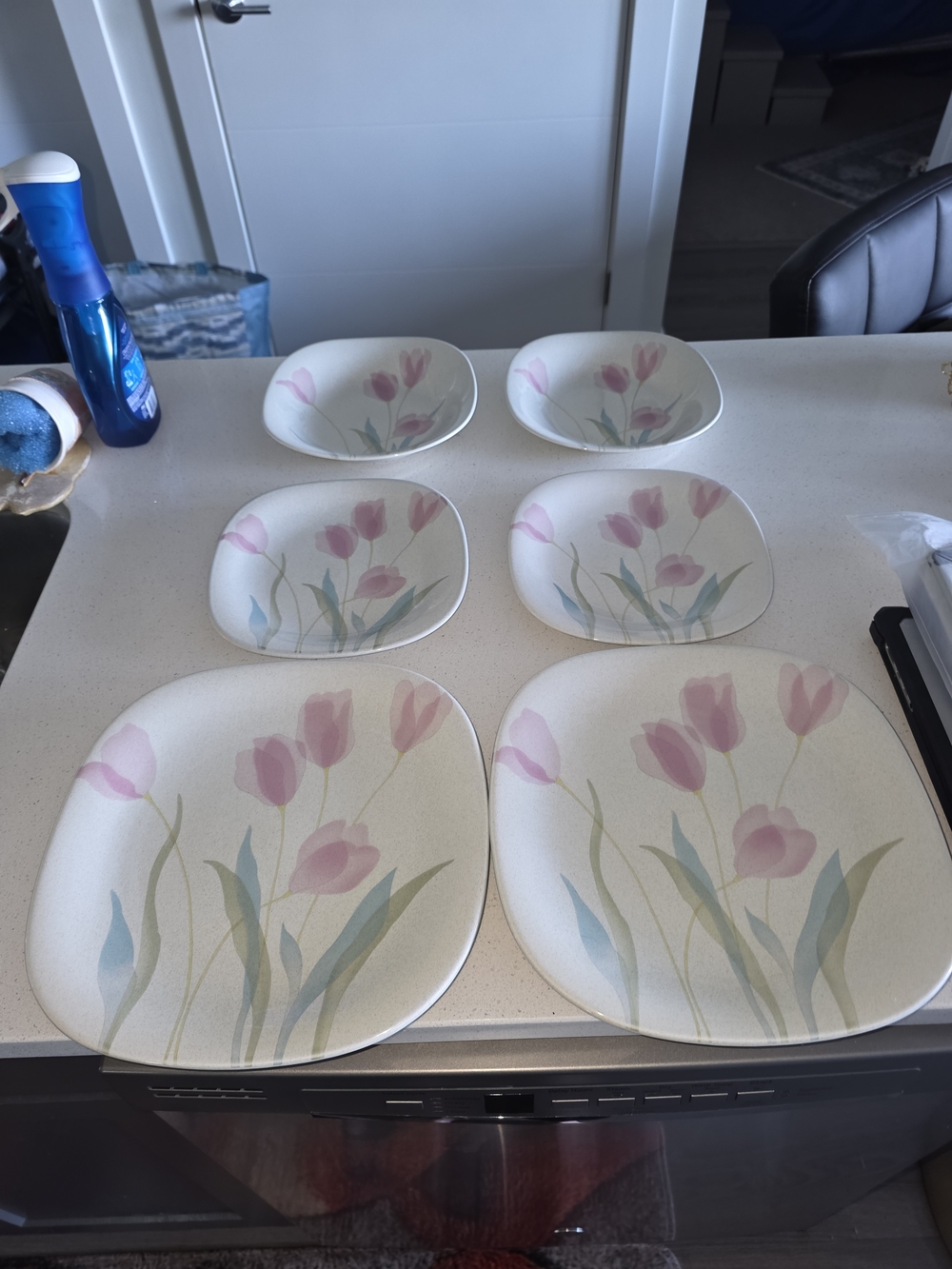 Mikasa Ceramic dinnerware plates, Mikasa Natural Beauty Floral Delight CT003